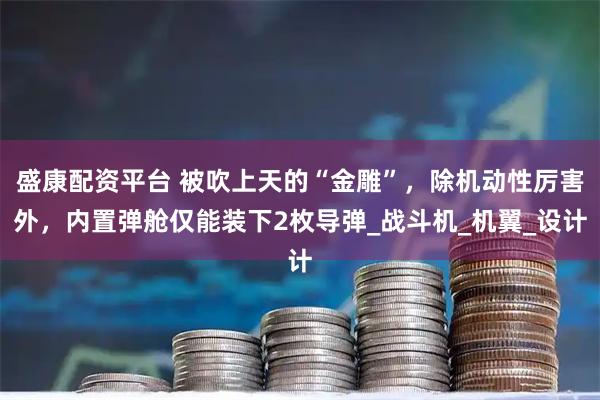 盛康配资平台 被吹上天的“金雕”，除机动性厉害外，内置弹舱仅能装下2枚导弹_战斗机_机翼_设计