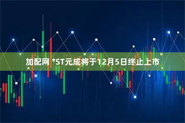 加配网 *ST元成将于12月5日终止上市