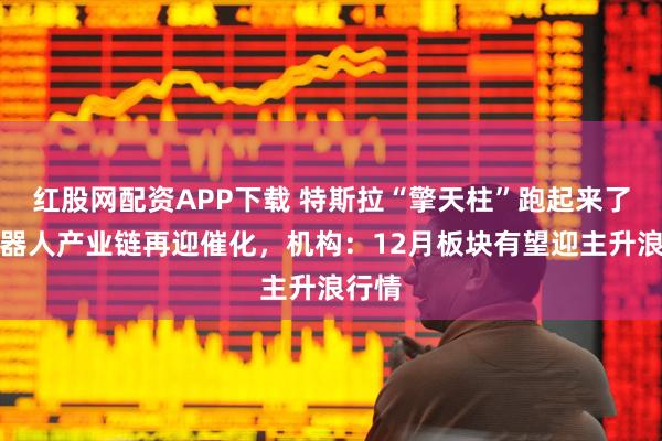 红股网配资APP下载 特斯拉“擎天柱”跑起来了！机器人产业链再迎催化，机构：12月板块有望迎主升浪行情