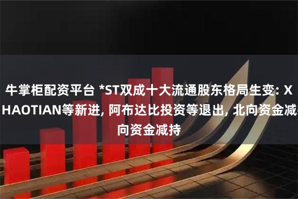 牛掌柜配资平台 *ST双成十大流通股东格局生变: XU HAOTIAN等新进, 阿布达比投资等退出, 北向资金减持