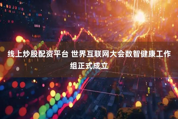 线上炒股配资平台 世界互联网大会数智健康工作组正式成立